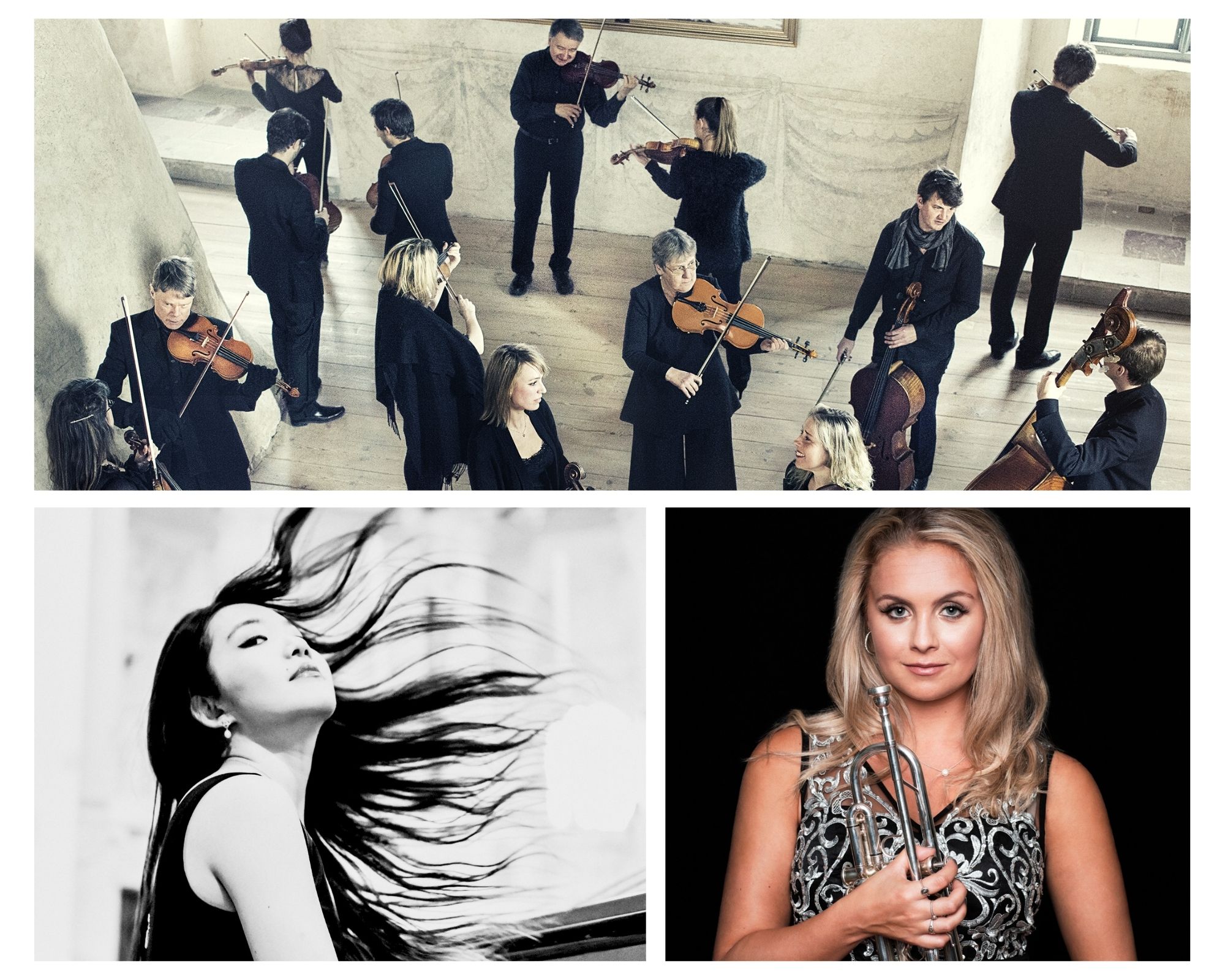 Falkenbergs Konsertförening